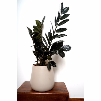 garth metal grey pot (pot only)