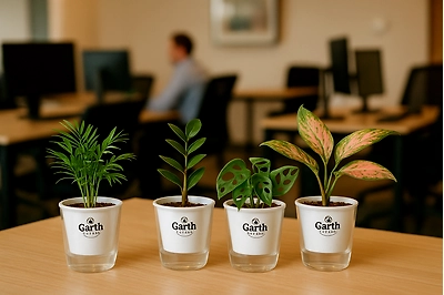 office desk filled with plants with self watering pots