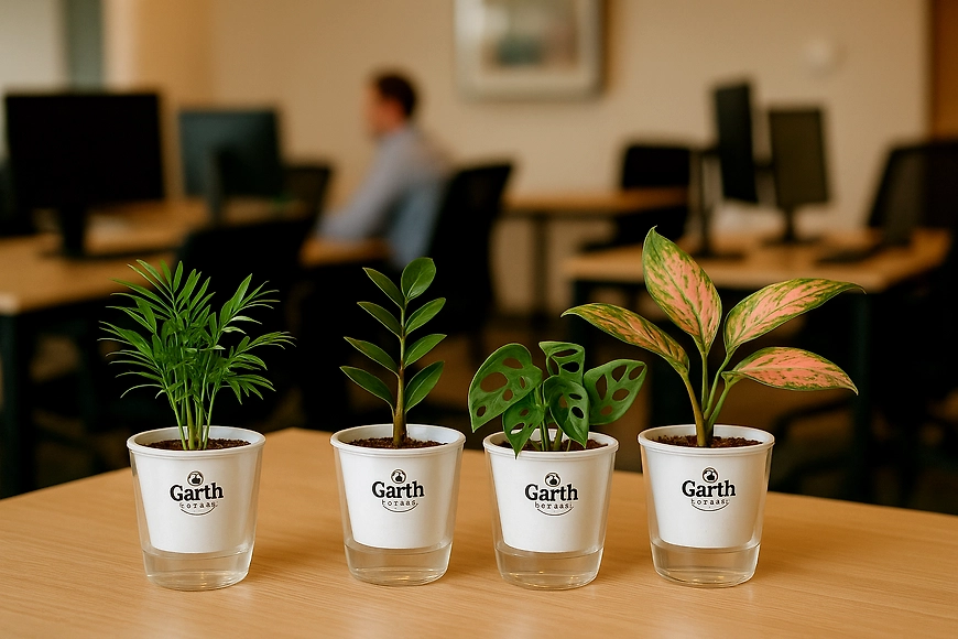 office desk filled with plants with self watering pots