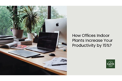 office desk plant filled with zz plant and spider plant by garth