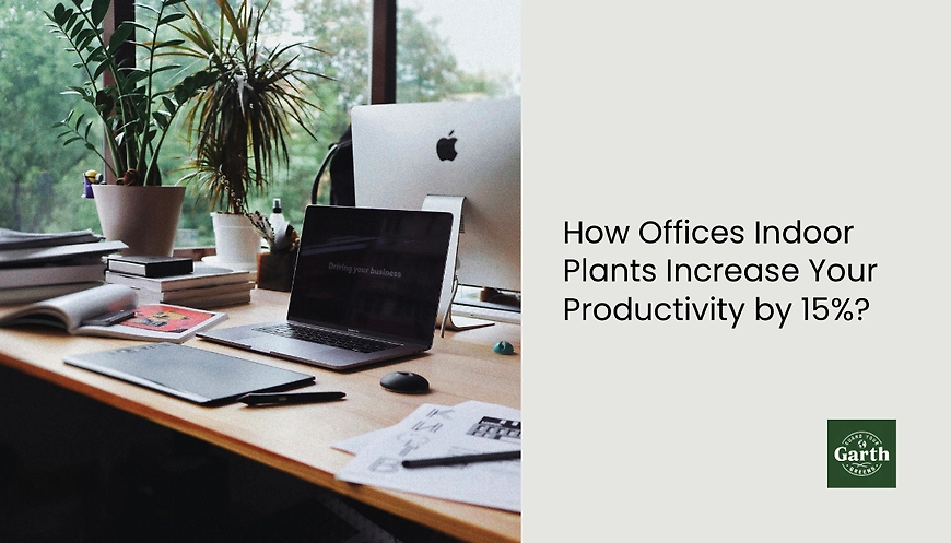 office desk plant filled with zz plant and spider plant by garth