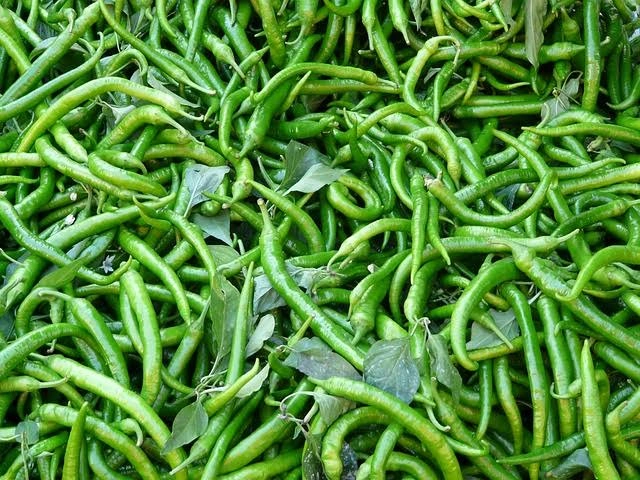 Green Chilli-1