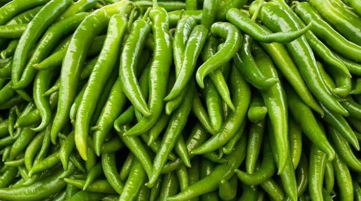 Green Chilli-3