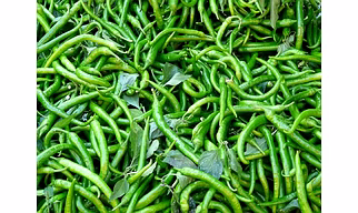 Green Chilli