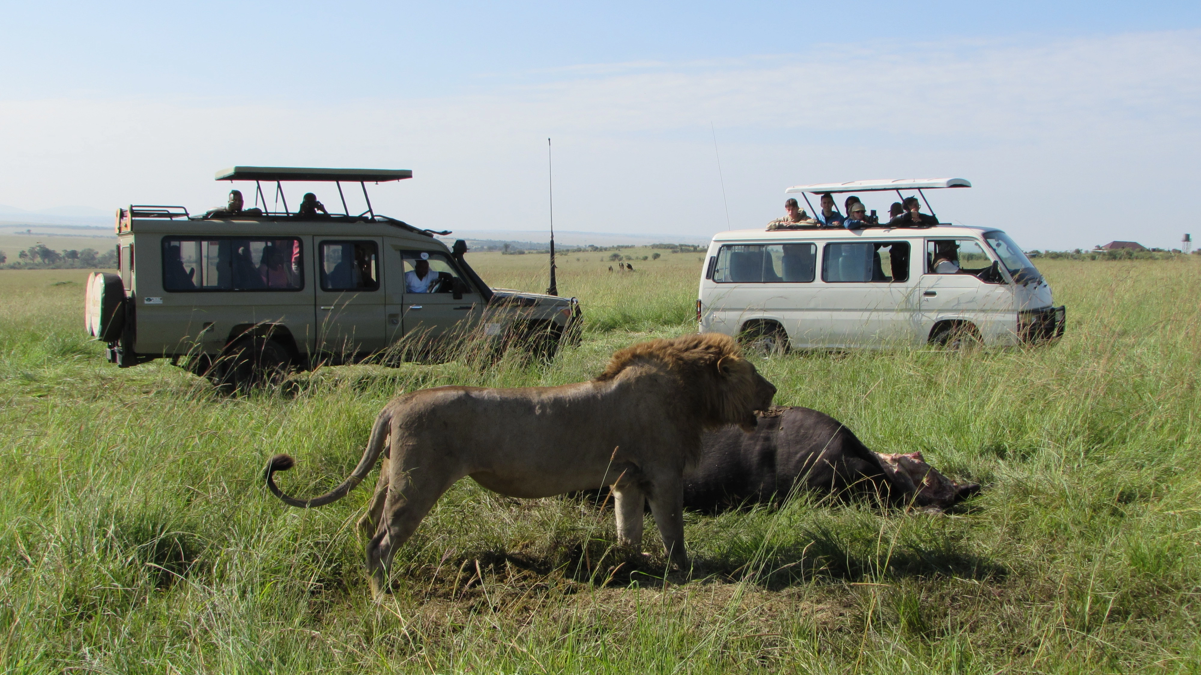 06 Days Best of Kenya Safari Masai Mara Game Reserve, Lake Nakuru and Amboseli National Park-1005909-d300f9c9