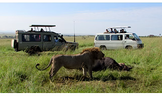 06 Days Best of Kenya Safari Masai Mara Game Reserve, Lake Nakuru and Amboseli National Park