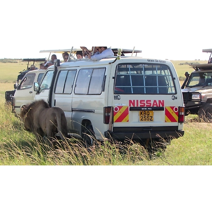 06 Days Best of Kenya Safari Masai Mara Game Reserve, Lake Nakuru and Amboseli National Park-2