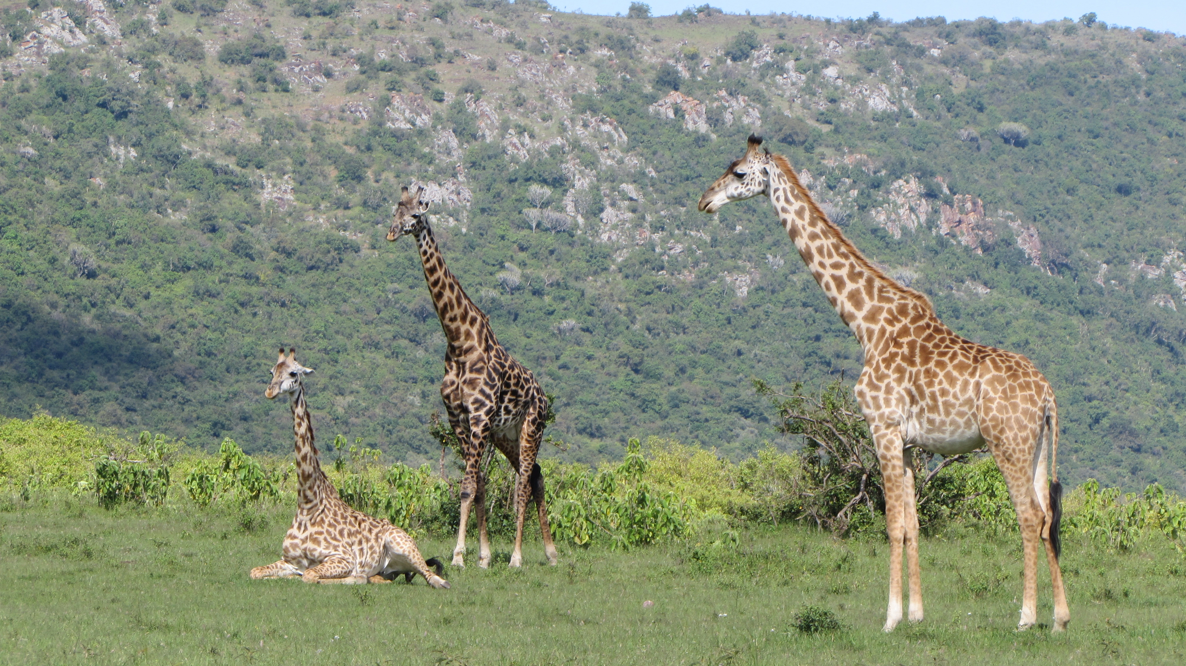 5 Days Kenya Tour Safari Samburu National Reserve and Meru National Park.-1