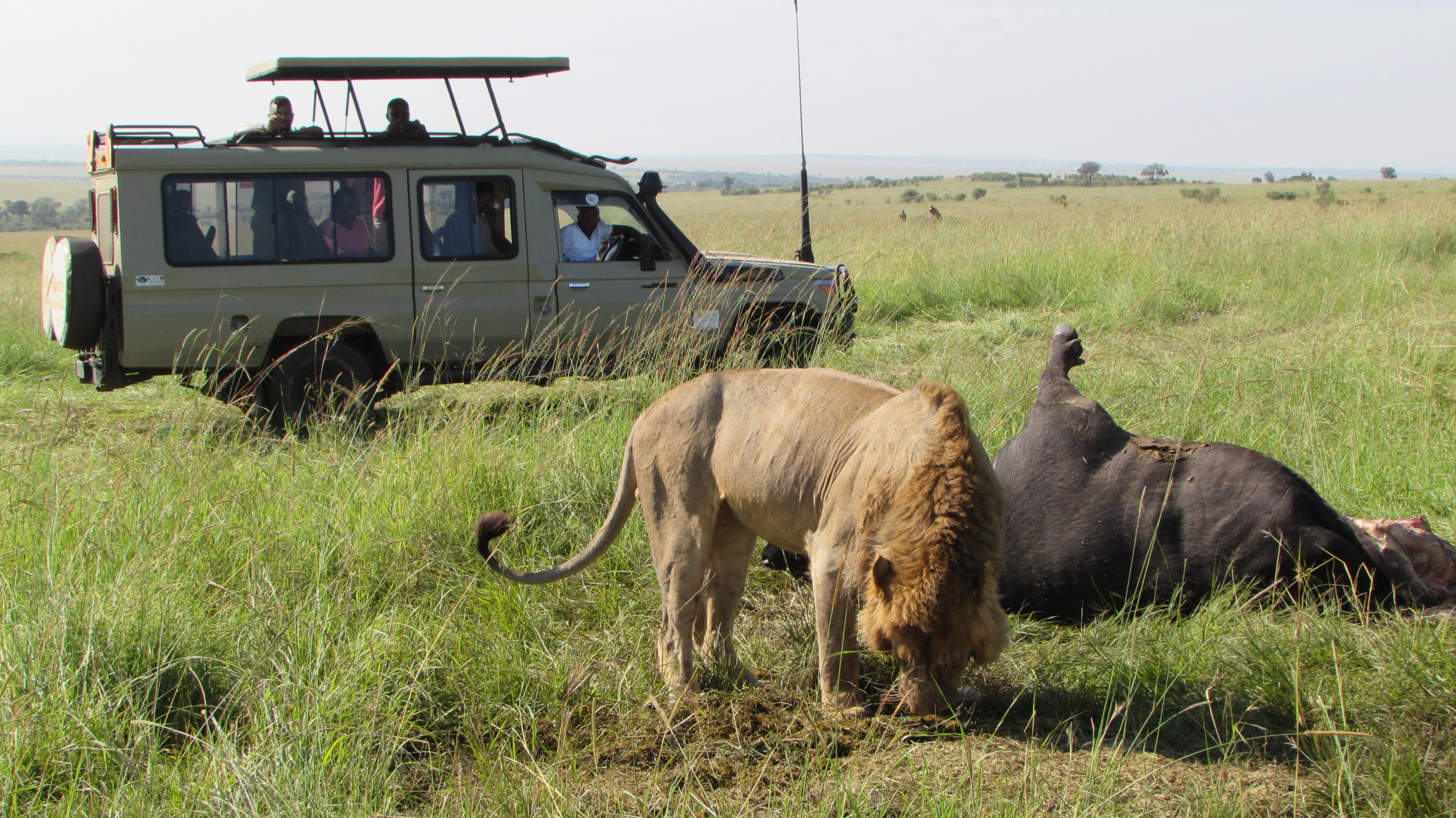 5 Days Kenya Tour Safari Samburu National Reserve and Meru National Park.-4