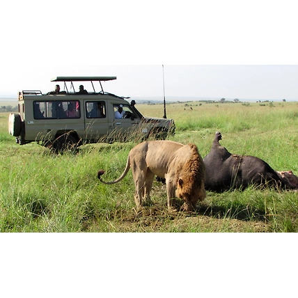 5 Days Kenya Tour Safari Samburu National Reserve and Meru National Park.-4