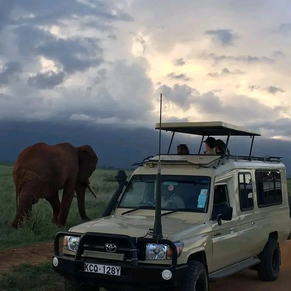 7 Days Luxury Safari Tours in Kenya-3