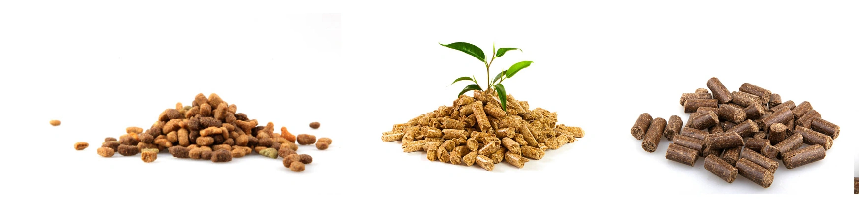 Biomass pellets-1