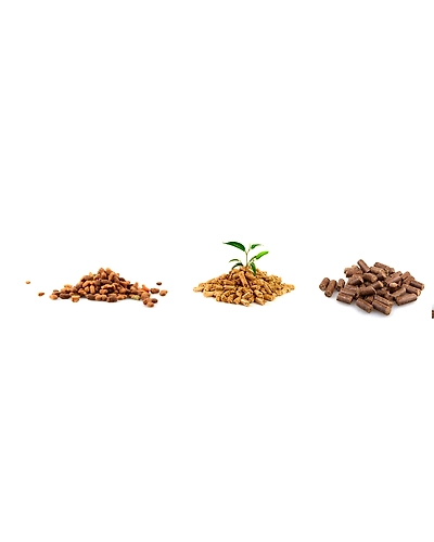 Biomass pellets-1
