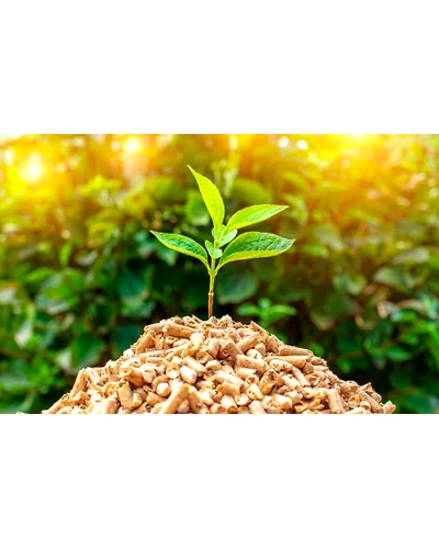 Biomass pellets-4