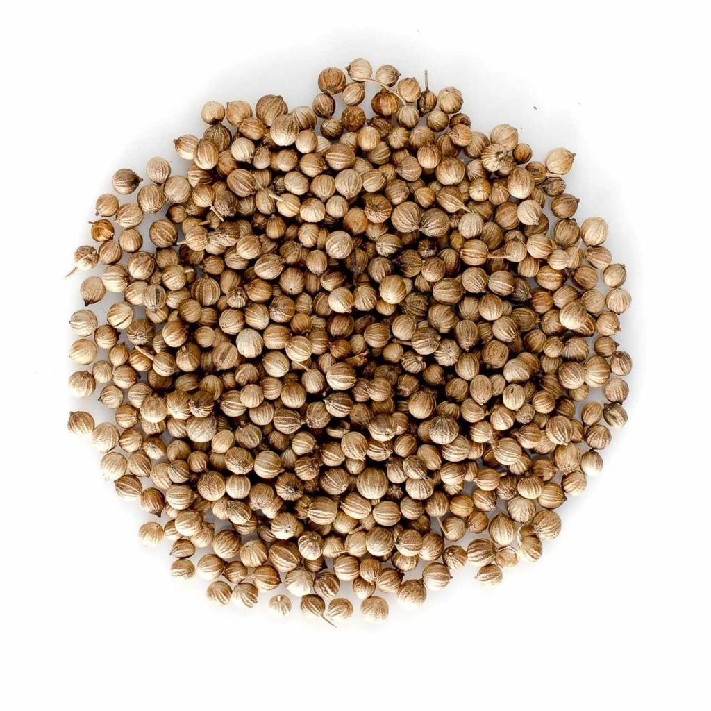 Coriander Seeds-3