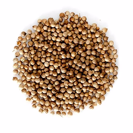 coriander seeds