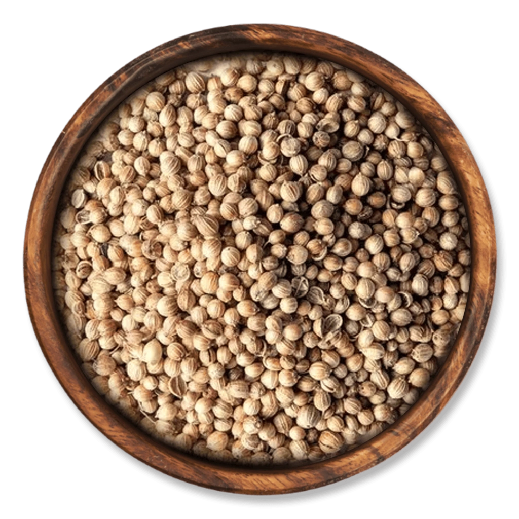 Coriander Seeds-4