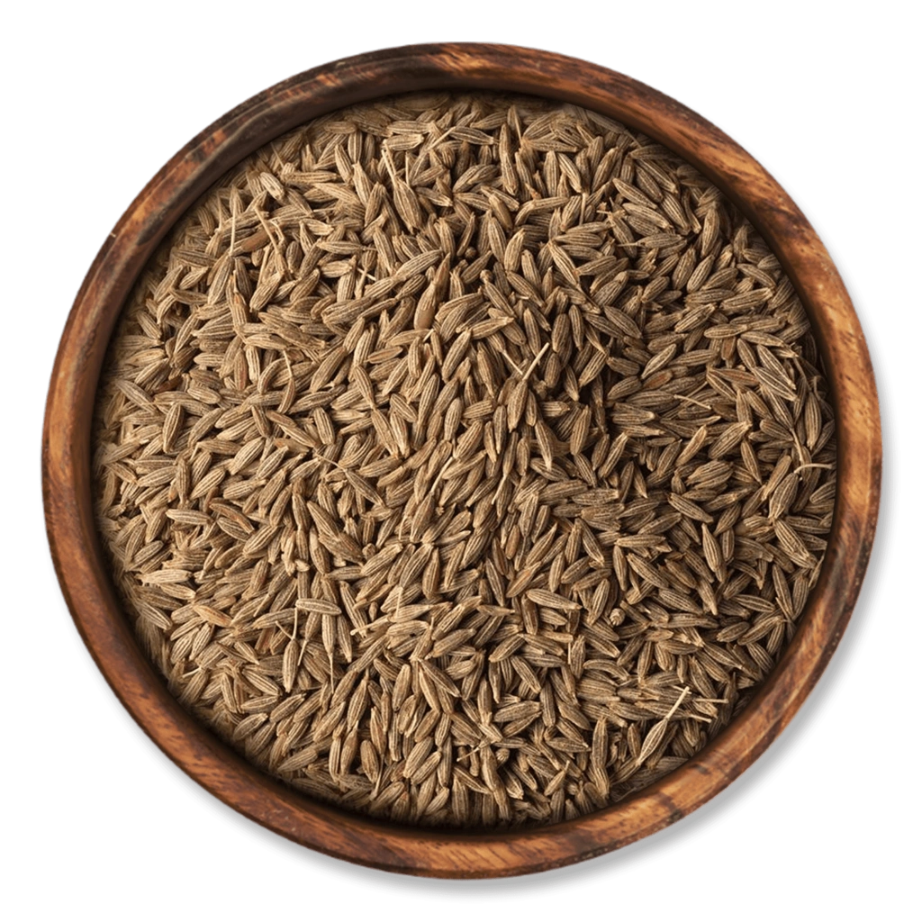 Cumin Seeds-4