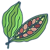 Cardamoms