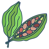 Cardamoms