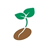 Seeds
