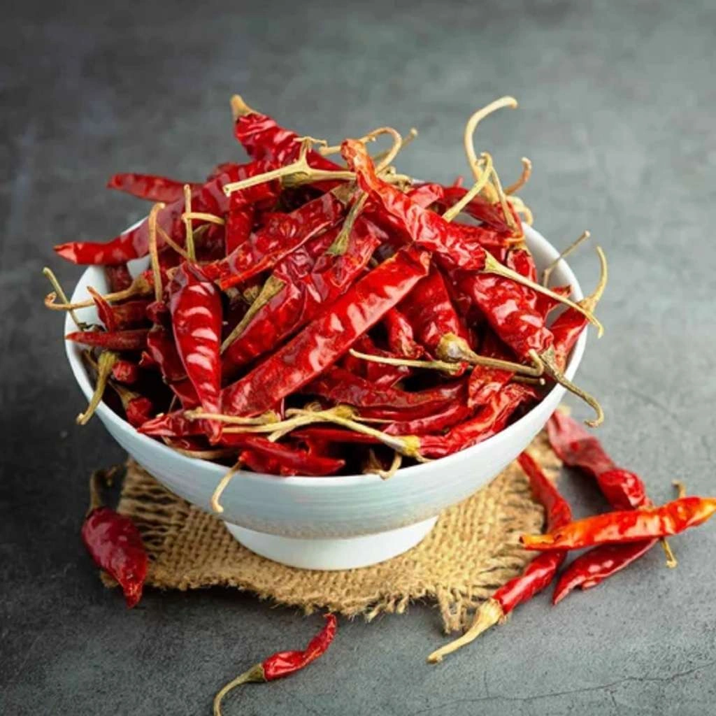 Dry Red Chili-2