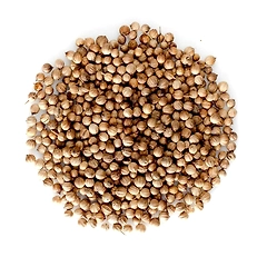 Coriander Seeds