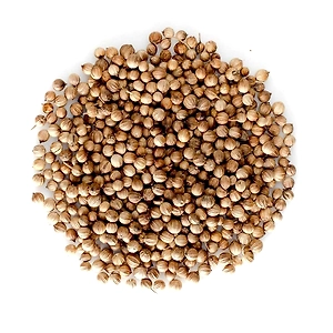 Coriander Seeds