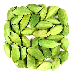 Green Cardamom