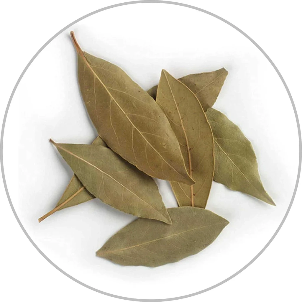 Bay Leaves-1