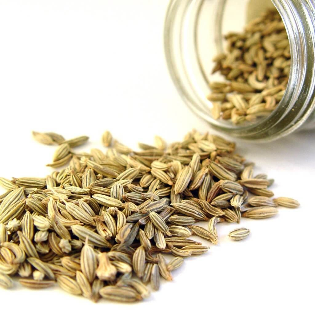 Fennel Seeds-2