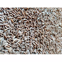 cumin europe 99%