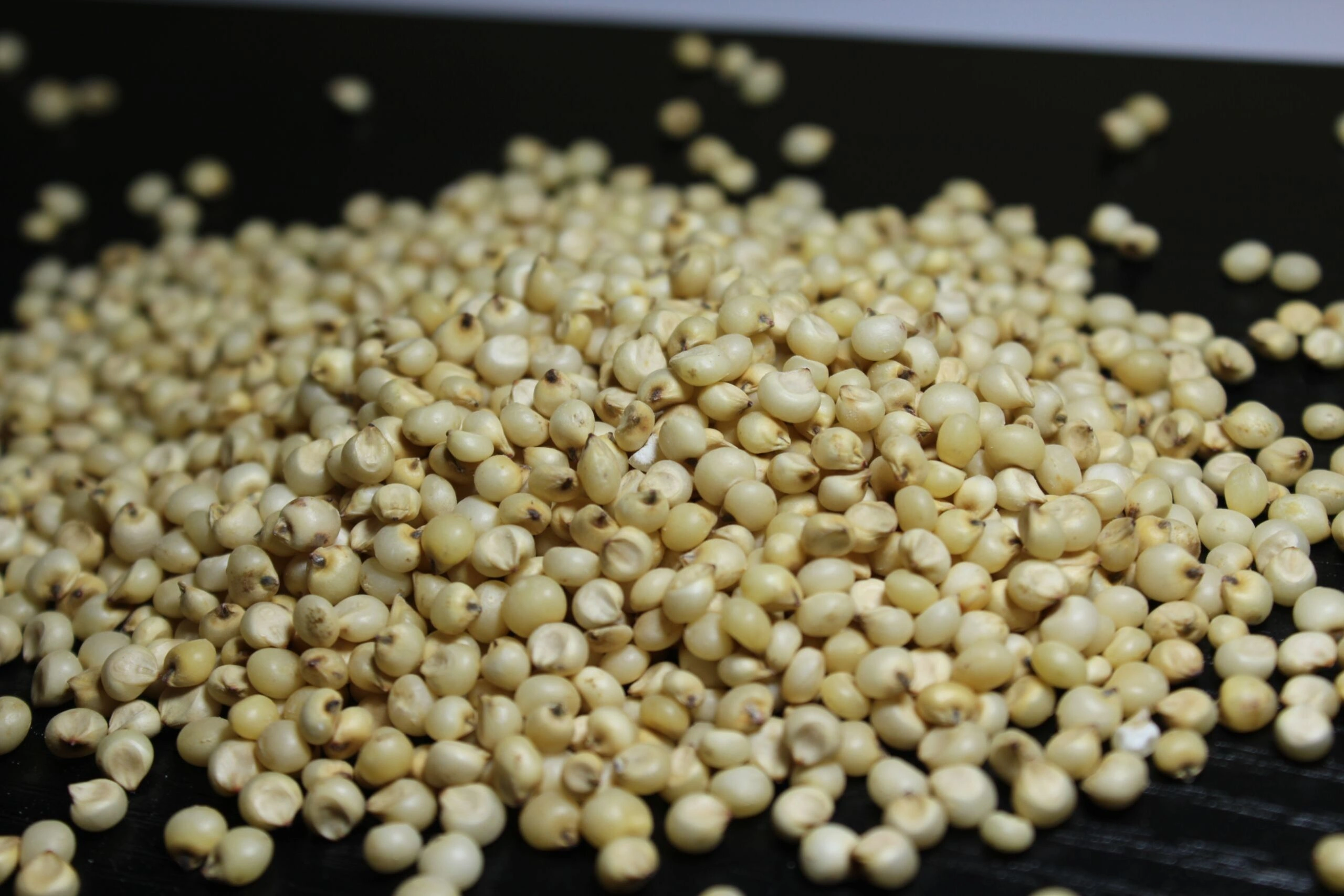 Sorghum millet [Jowar] Export Quality-2