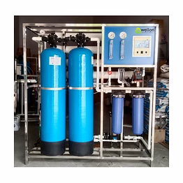 500 lph ro system