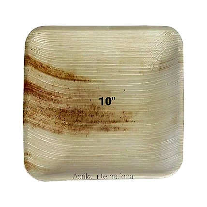 Areca Leaf Square Plates-12652369