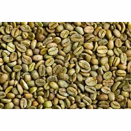 oh yes yummy robusta green coffee beans