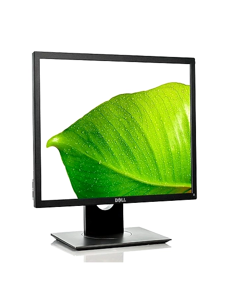 Dell Professional 19 Inch Square LED Monitor P1917S, Black-B01FM3IC1I