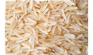 Basmati Rice