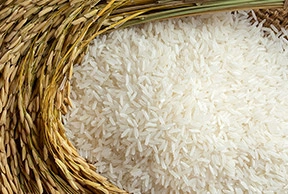 Basmati Rice-2