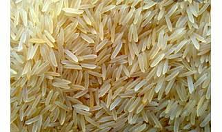 Kolam Rice