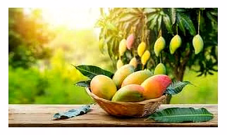 Mango
