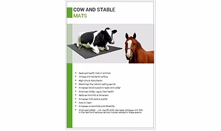 Rubber Mattress for Horses