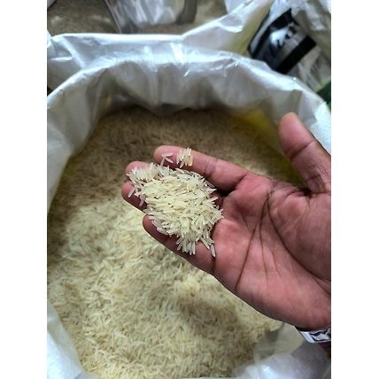 1121 Basmati Rice-3