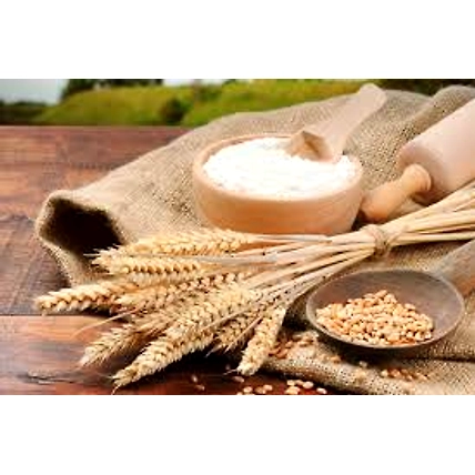 Wheat Flour-1