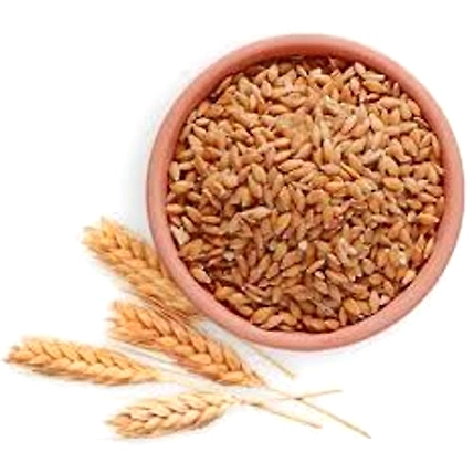 Whole Wheat-1