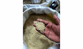1121 Basmati Rice
