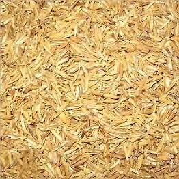 Rice Husk