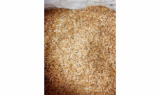 Rice Husk
