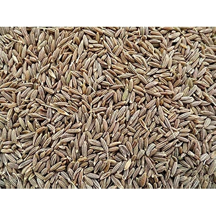 Cumin Seeds-7