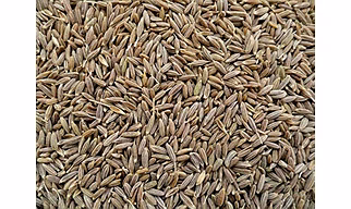 Cumin Seeds